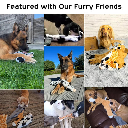 Featured with our furry friends showing no stuffing squeaky dog toys for dogs of all sizes