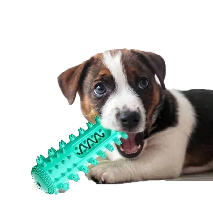 Blue dog tooth chewing toy for all dogs, durable TPR chew toy for oral care and tartar prevention