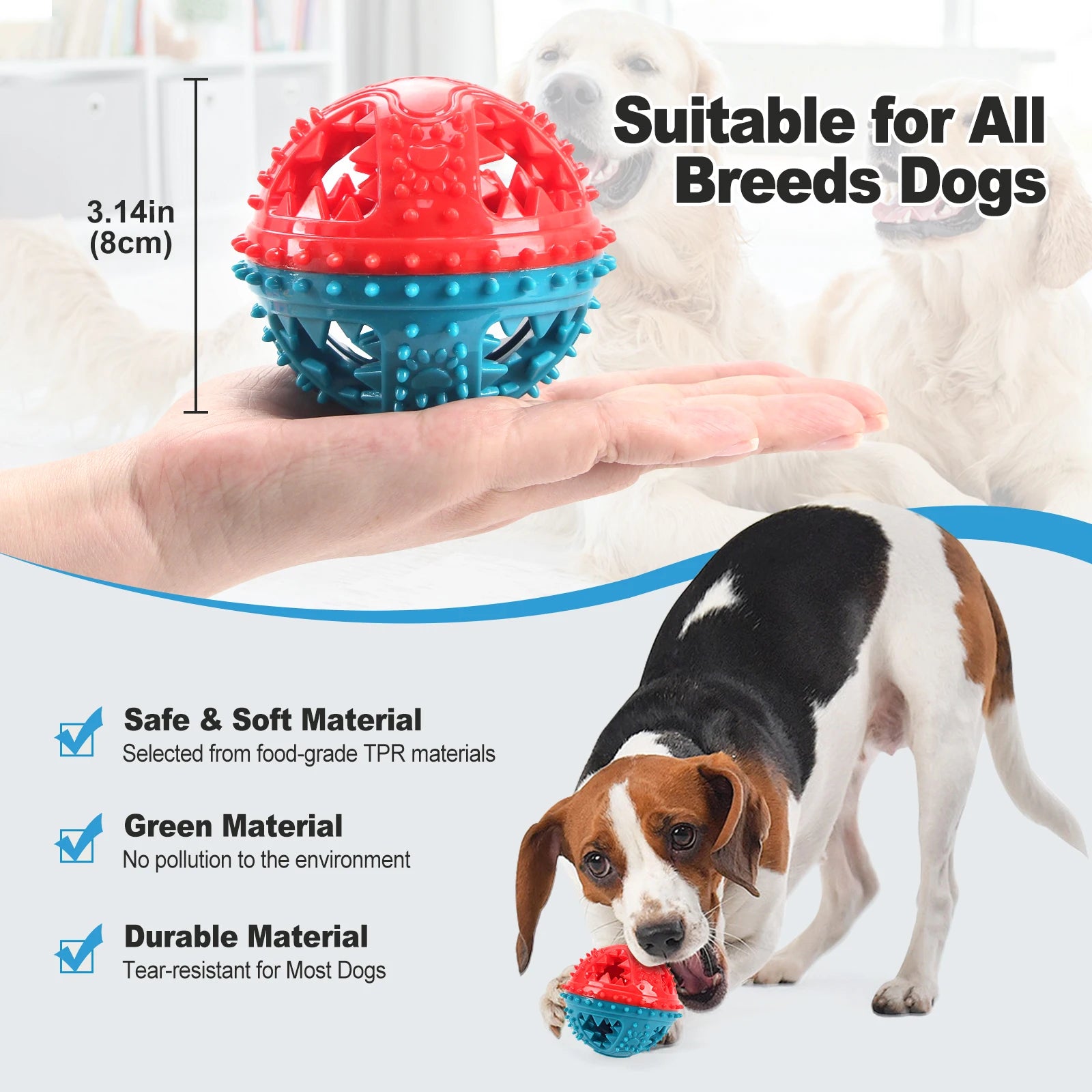 Durable red and blue spiked dog ball toy, beagle playing on floor, suitable for all breeds.
