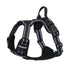 S432e5189fb074b85bd71711d2666cd17E - bestdoggylife.shop