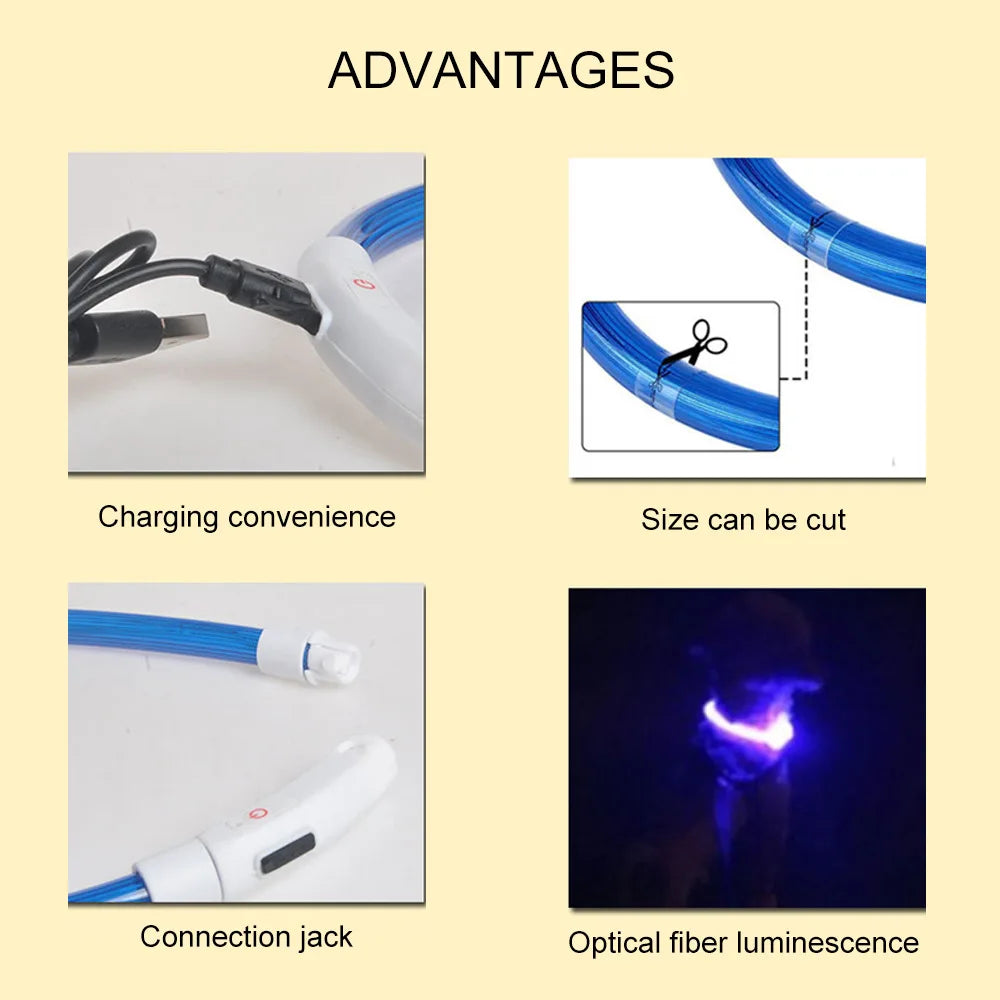 Led Usb Dog Collar Pet Dog Night Luminous Charge Collar Pet Accessorie with charging convenience and optical fiber luminescence features