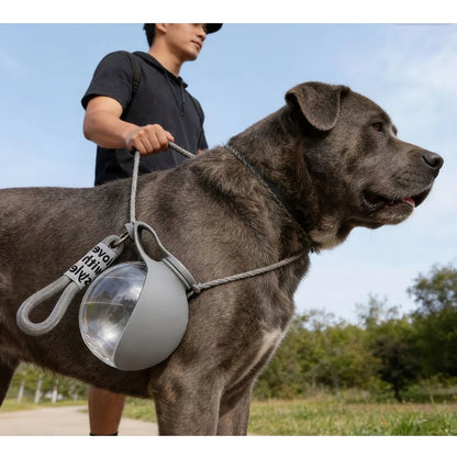 portable dog water bottle with bowl attached to a large dog leash for outdoor walking, hiking, and travel hydration