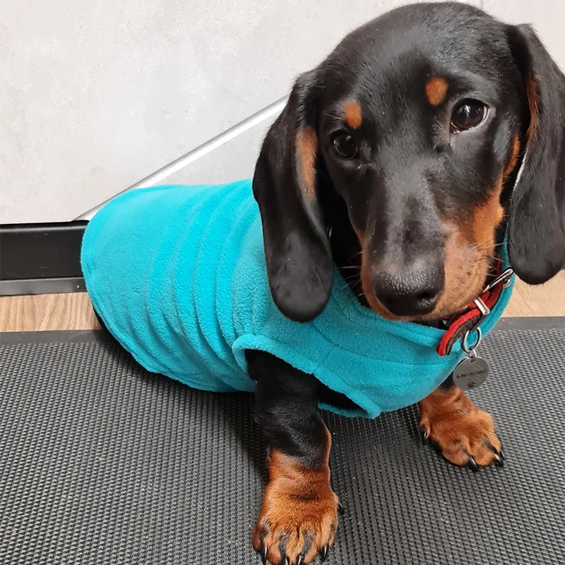 S4382a8a5cde84af596b5924a74e794d10 - bestdoggylife.shop