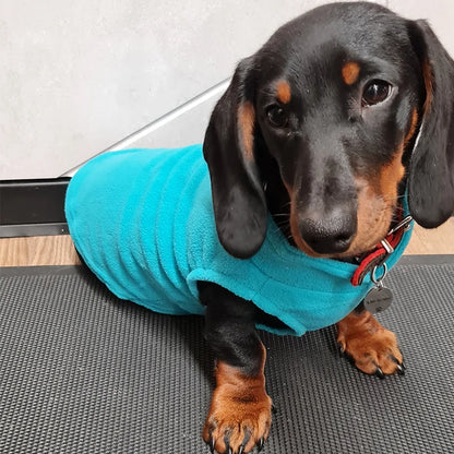 S4382a8a5cde84af596b5924a74e794d10 - bestdoggylife.shop