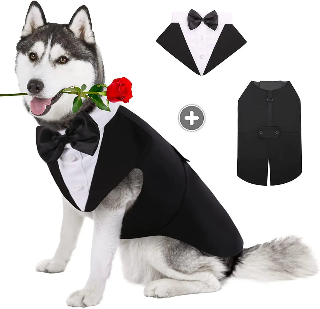 S43a988f4e52946f5b43d2e9c6b08dcd6V - bestdoggylife.shop