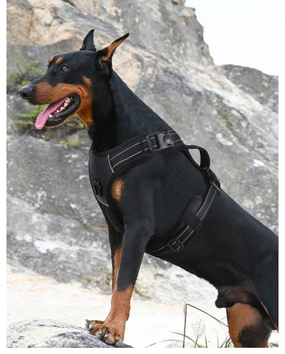 S43ab9624588c4b69851ed0f1c9c63fbcm - bestdoggylife.shop