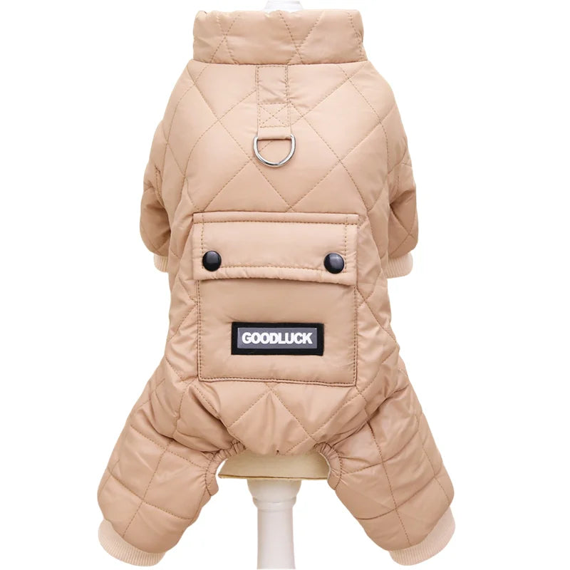 S4406bb6747a74a53b0e43197d1d821car - bestdoggylife.shop