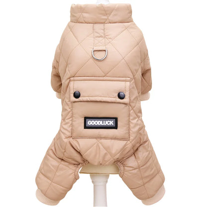 S4406bb6747a74a53b0e43197d1d821car - bestdoggylife.shop