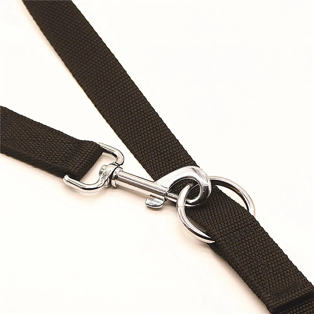 S443e8f6ffcd24de2a4b6927c6e890120y - bestdoggylife.shop