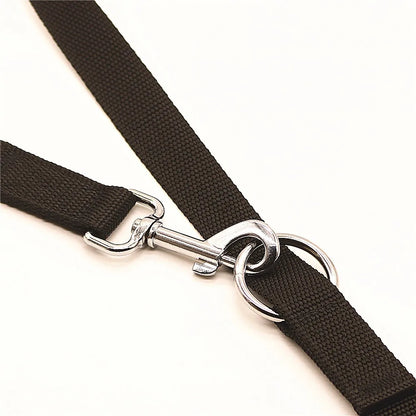 S443e8f6ffcd24de2a4b6927c6e890120y - bestdoggylife.shop