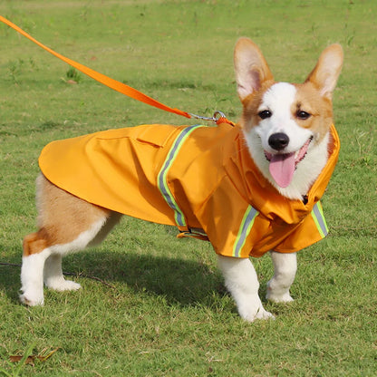 S44a486edab764ee58533dcf3b08fe974u - bestdoggylife.shop