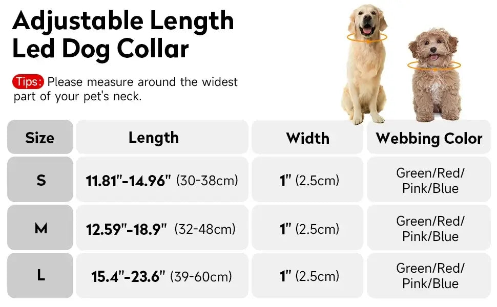USB rechargeable LED dog collar, adjustable light-up nylon collar for small and medium dogs, RGB 7 colors for night safety