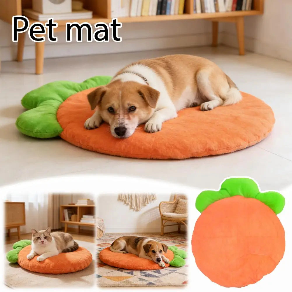 Washable cat bed mat carrot-shaped orange and green pet cushion for small dogs and cats, soft warm sleeping pad