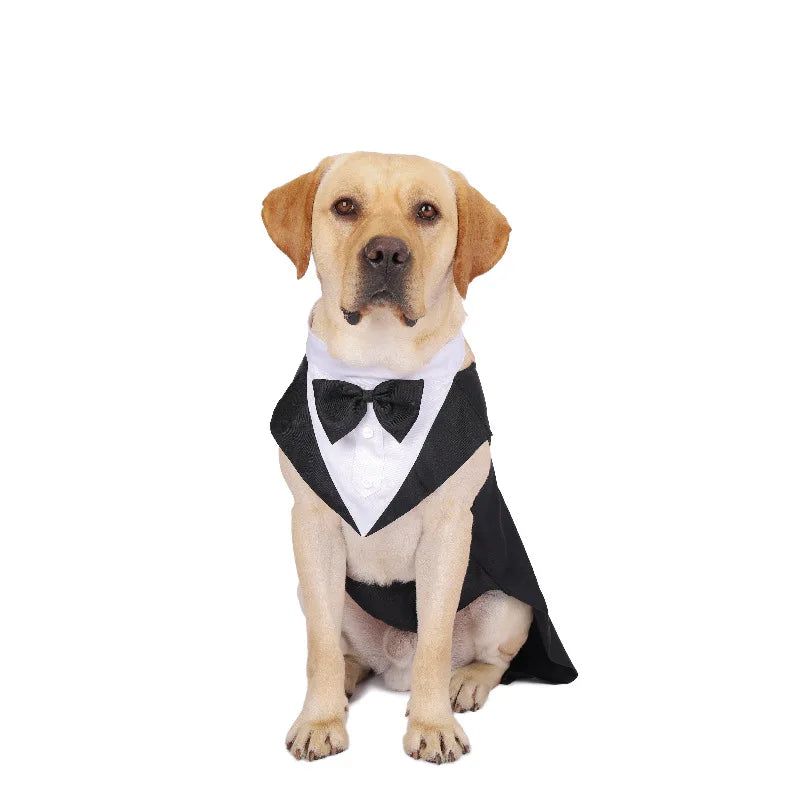 S45d2053f0192447aa11b19962ca2d191Q - bestdoggylife.shop