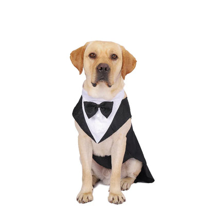S45d2053f0192447aa11b19962ca2d191Q - bestdoggylife.shop