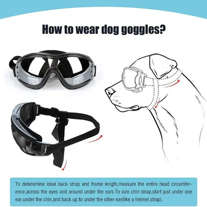 S45dbdf12f5a949eabe9c54db854d1983e_cfa72ee1-854a-4308-b965-50495e57ceda - bestdoggylife.shop
