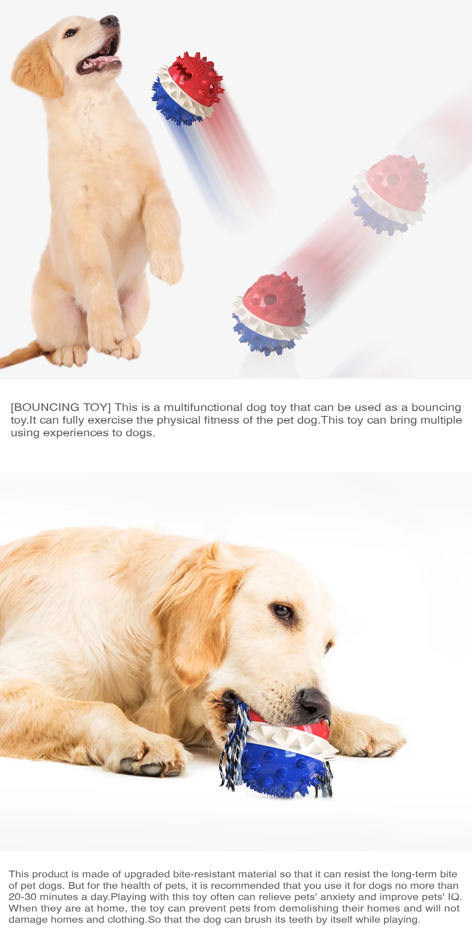 S467505c8a75b40ed9a2d00720434505c3 - bestdoggylife.shop