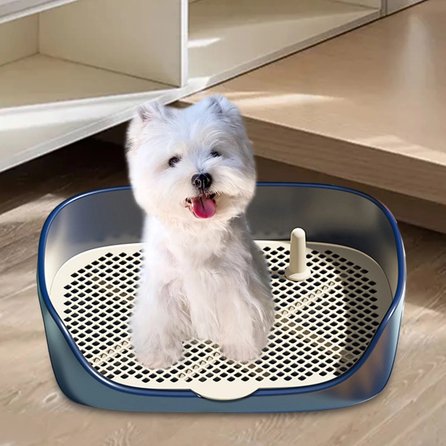 S468004e690e544bea8a349222dbcfb42x - bestdoggylife.shop