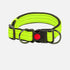 Reflective Padded Dog Collar Durable Strong Double D Ring Safety Nylon Pet Dog Collars Adjustable for Small Medium Large Dogs