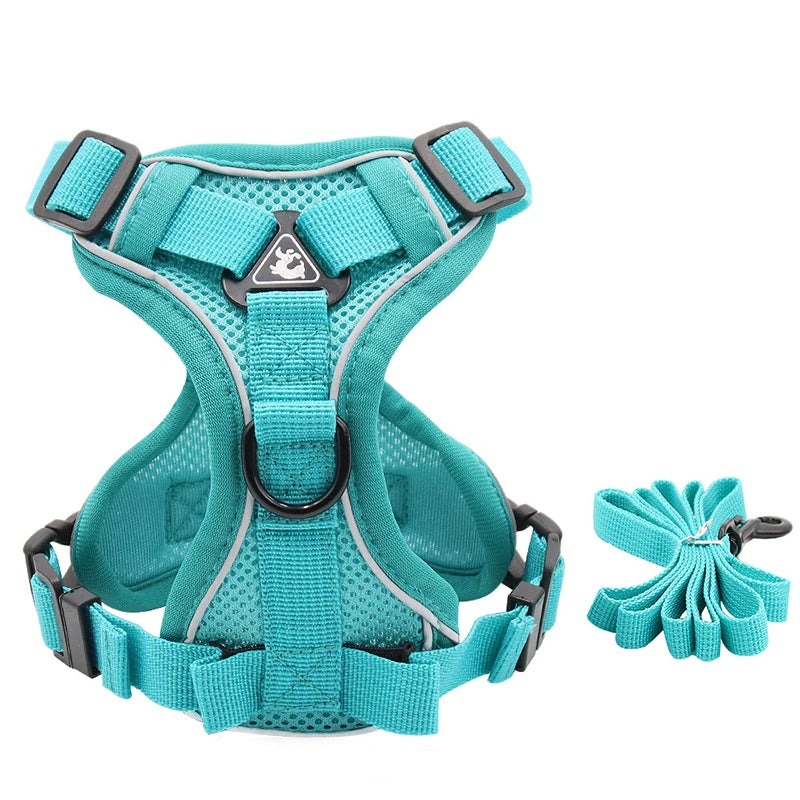 reflective cat harness and leash set breathable mesh vest harness for small dogs and cats, turquoise