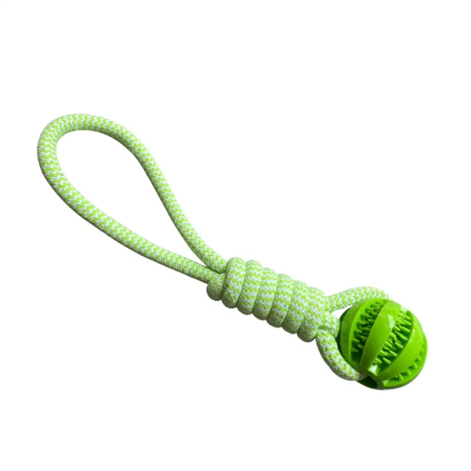 S470f31d0ed8f4be3ad369b90ff3df246R_9d769d14-8c2c-4849-b32d-1c3b3b9cdc13 - bestdoggylife.shop