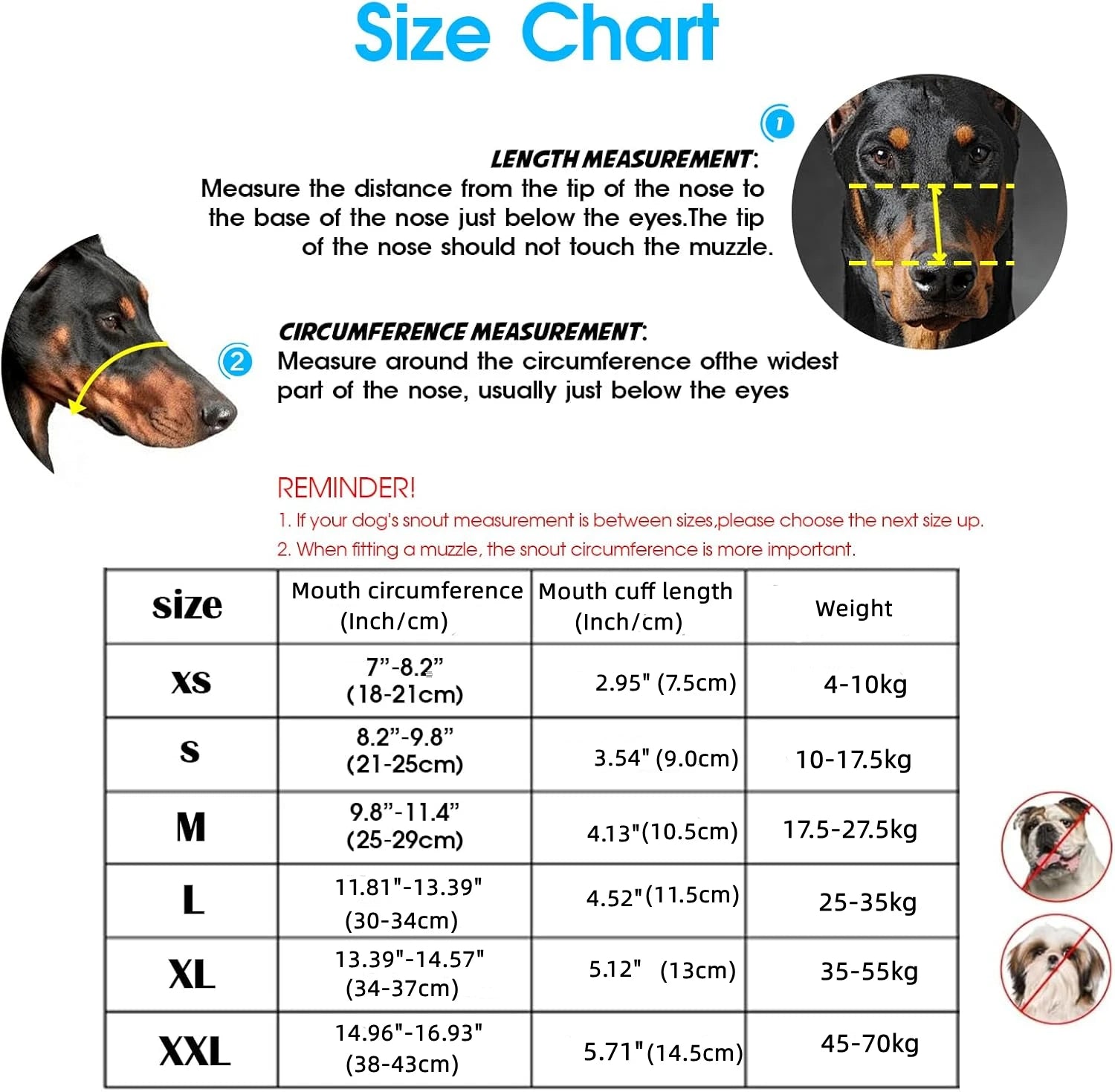 Dog muzzle size chart with measurement instructions, size guide, and dog illustration.