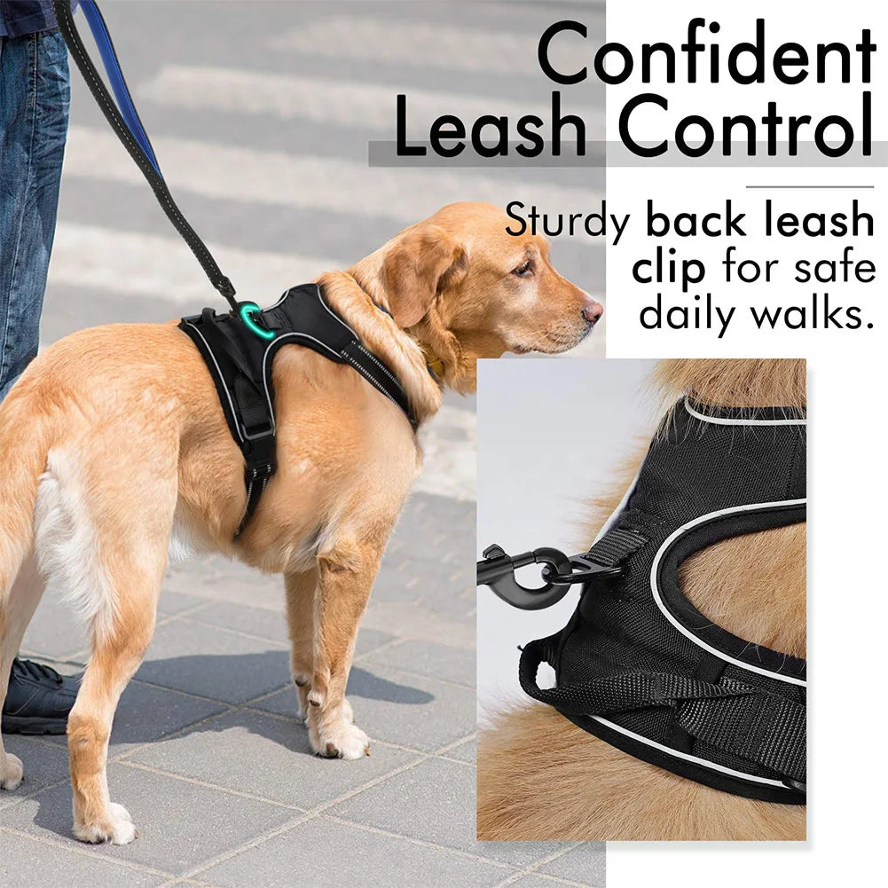 S47eef4dab6cb4dd2874d9ff1fee84c8e8 - bestdoggylife.shop
