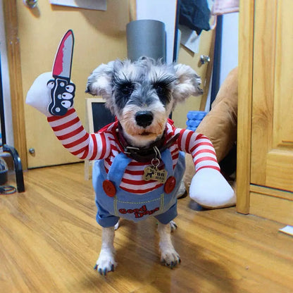 Small dog in red striped novelty costume with plush arms, one holding a fake knife