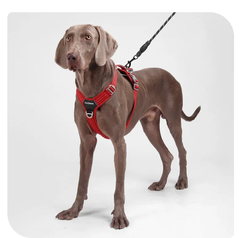 S48252949addb413e98fdbe14d96721ccm - bestdoggylife.shop