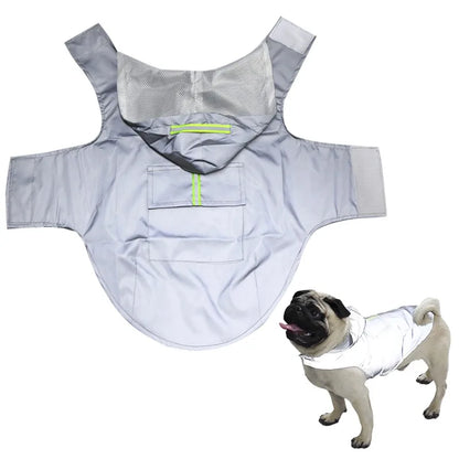 Reflective dog raincoat with hood and pocket, shown flat and worn by a pug