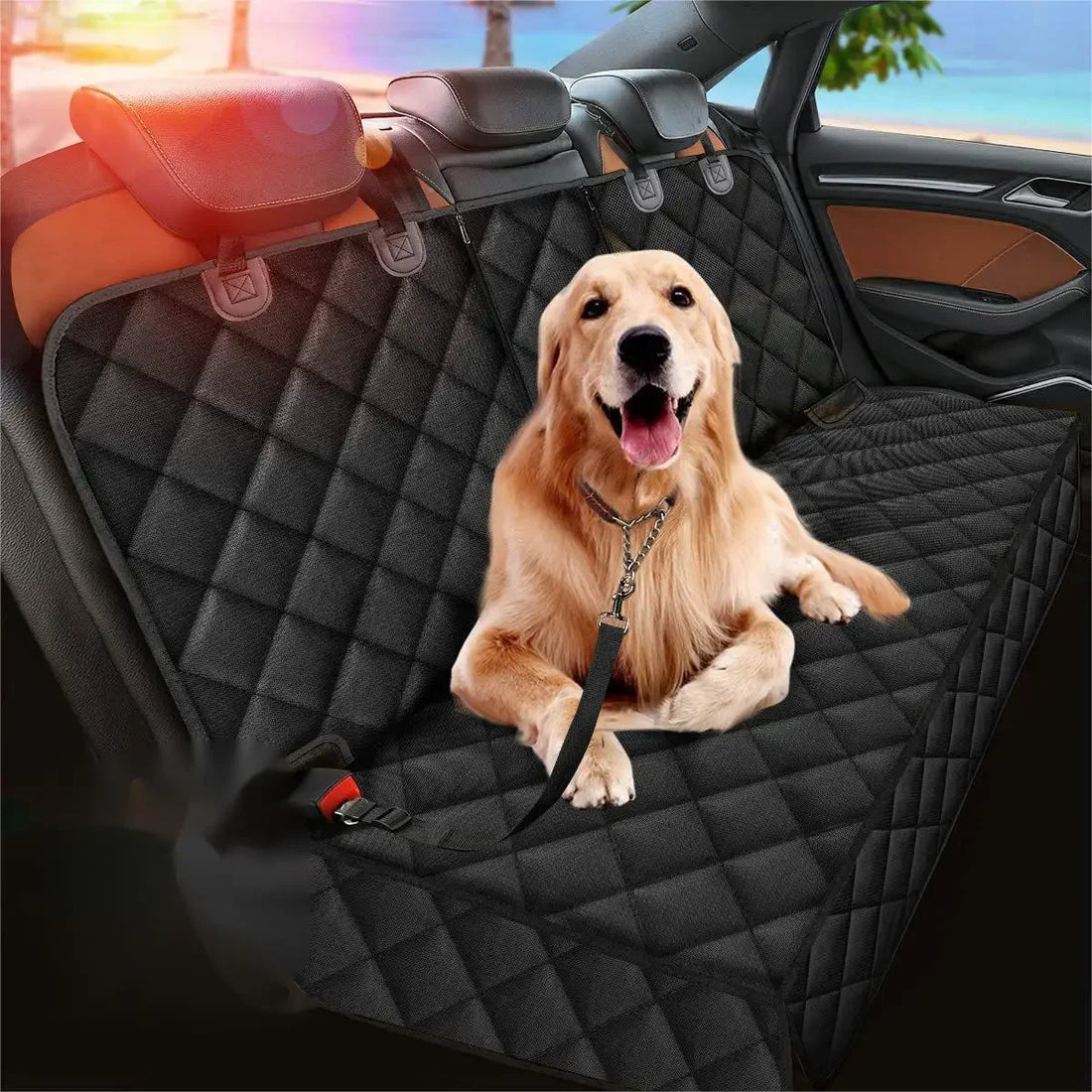 S48e744fc5c5148269dfa4aaae0a49473w - bestdoggylife.shop