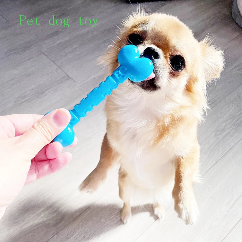 Small dog standing on hind legs playing with blue bone-shaped chew toy on indoor floor