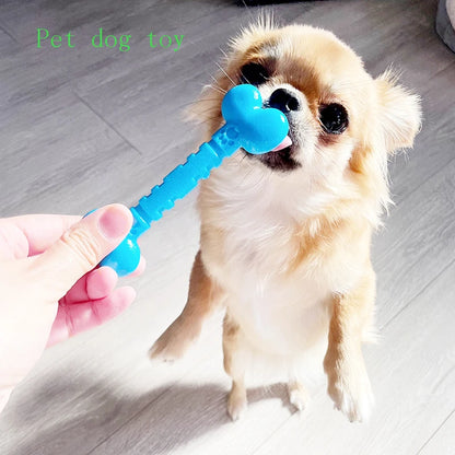 Small dog standing on hind legs playing with blue bone-shaped chew toy on indoor floor