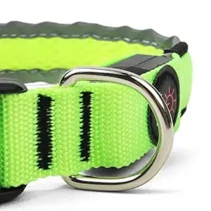 USB rechargeable LED dog collar, neon green adjustable nylon pet safety collar with metal buckle for night walking