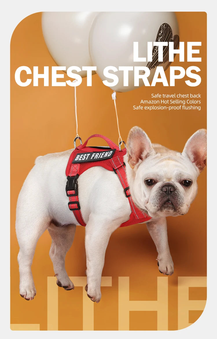 reflective dog harness and leash set for small dogs, red vest harness with chest straps, comfortable outdoor walking gear