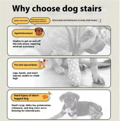 Why choose dog stairs for aged pets, pets with injury, and short-legged dogs benefits.