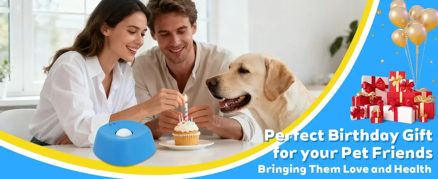 Couple celebrating a dog birthday with slow feeder dog bowl, cake, and gift ideas for pet friends