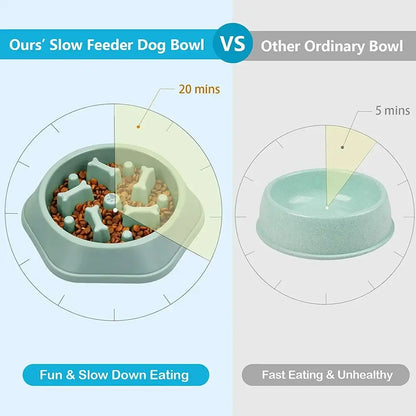 slow feeder dog bowl comparison showing fun slow eating vs fast eating ordinary bowl