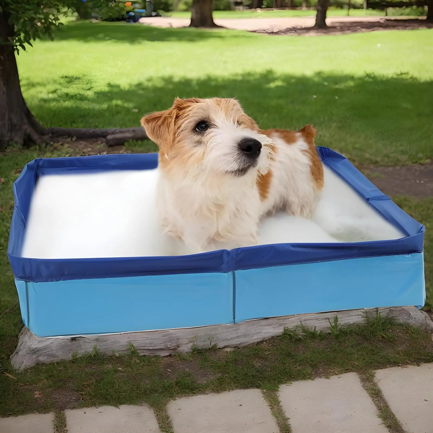Small dog in blue outdoor pet bath with suds, on grass lawn in sunlight