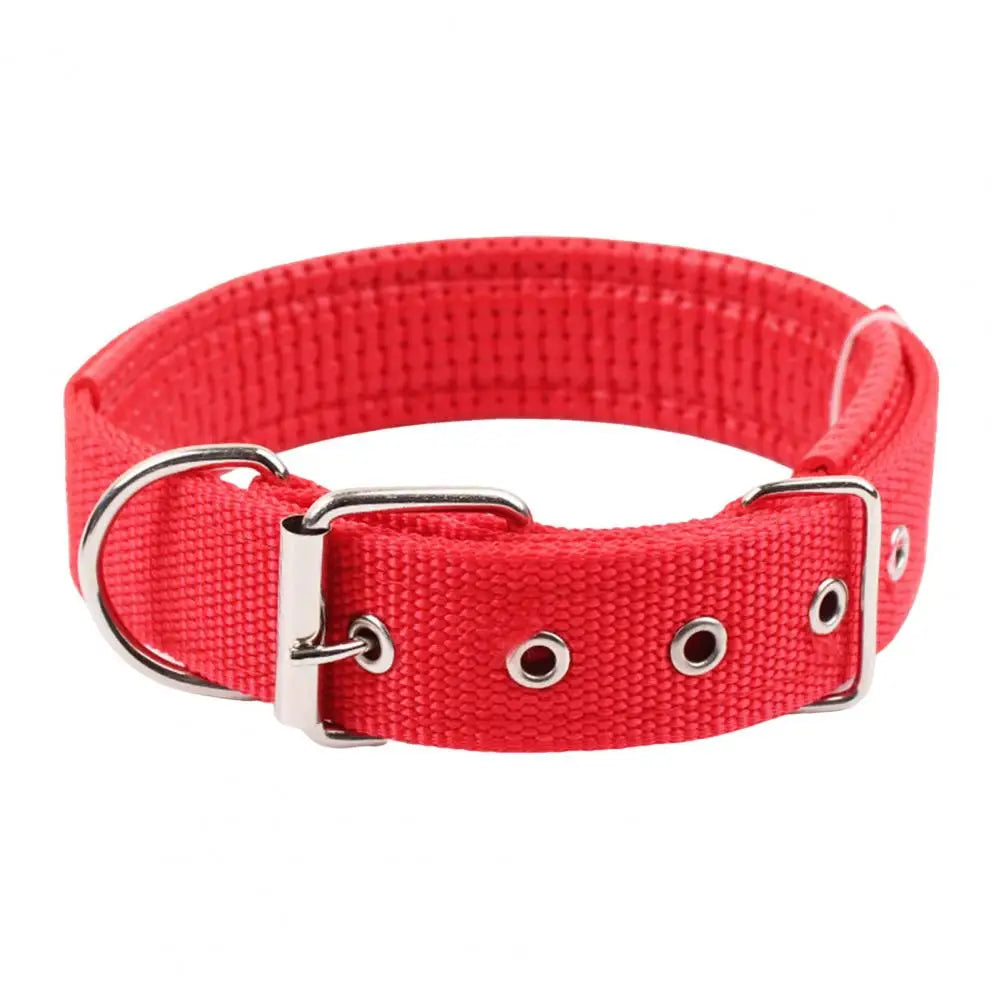 S4ca396049b6a419f9bd6bd6ad70e3518w - bestdoggylife.shop