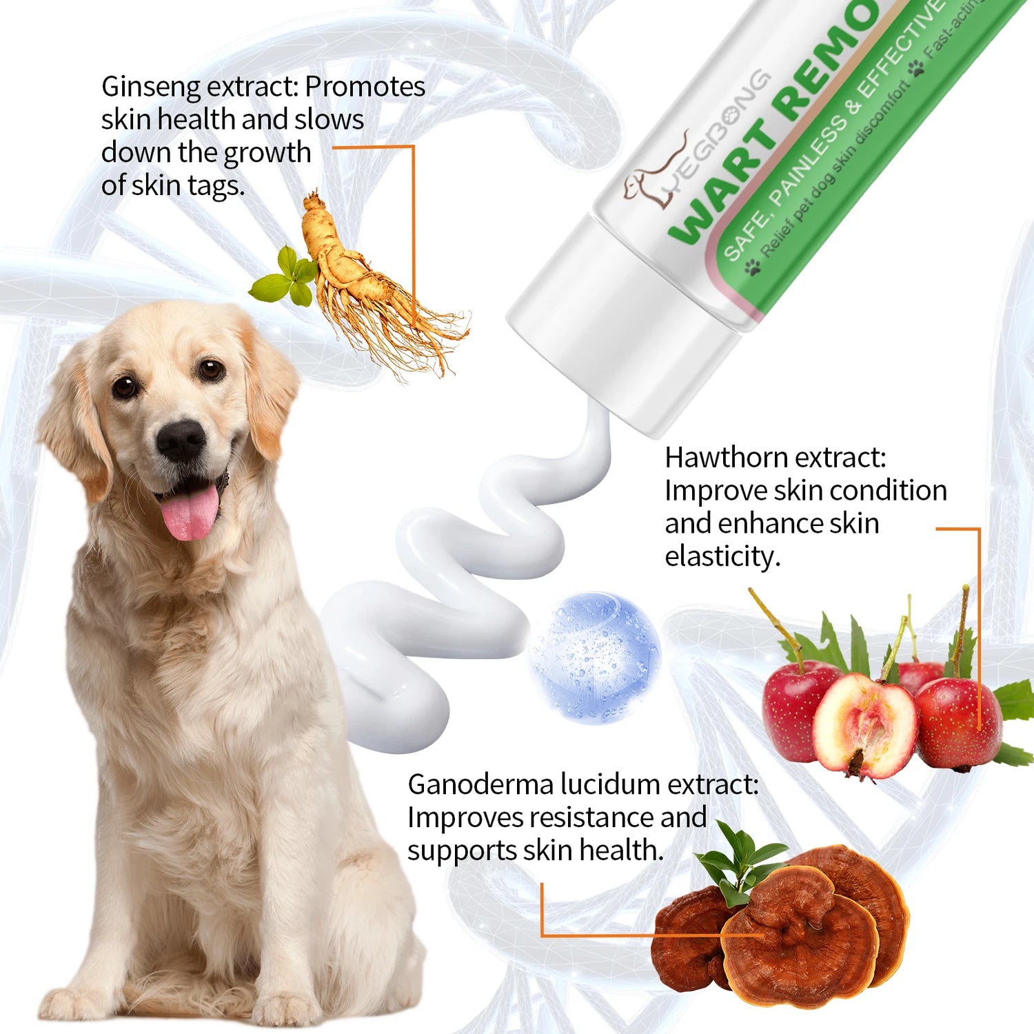 Dog wart removal cream with ginseng, hawthorn, and ganoderma lucidem extracts, happy golden retriever