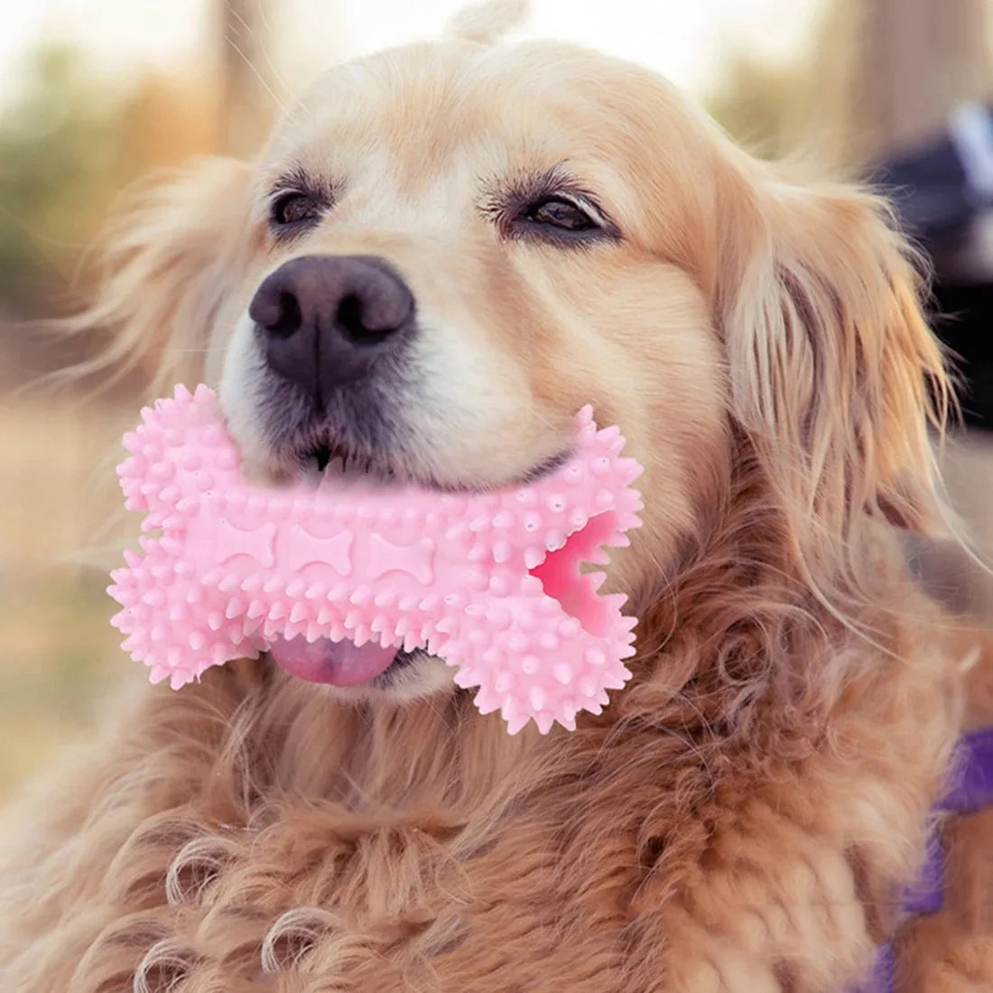 Dog Toys For Small Dogs Indestructible Dog Toy Teeth Cleaning Chew Training Toys Pet Supplies shown with a happy dog.