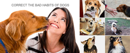 Woman training her dog to correct bad habits, featuring various dogs engaging in training activities.