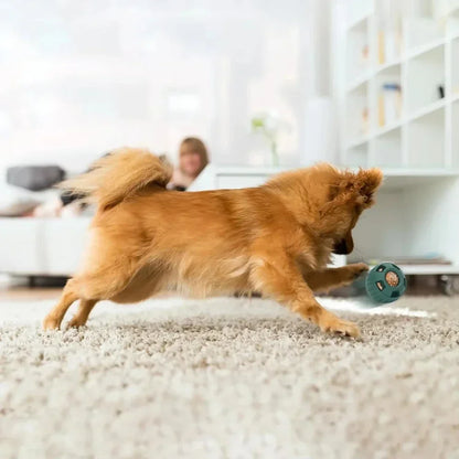 S4d8835c62fab4e558a9653464e4ea767g - bestdoggylife.shop