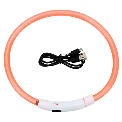 Led Usb Dog Collar Pet Dog Night Luminous Charge Collar Pet Accessorie with USB charging cable and glowing design.