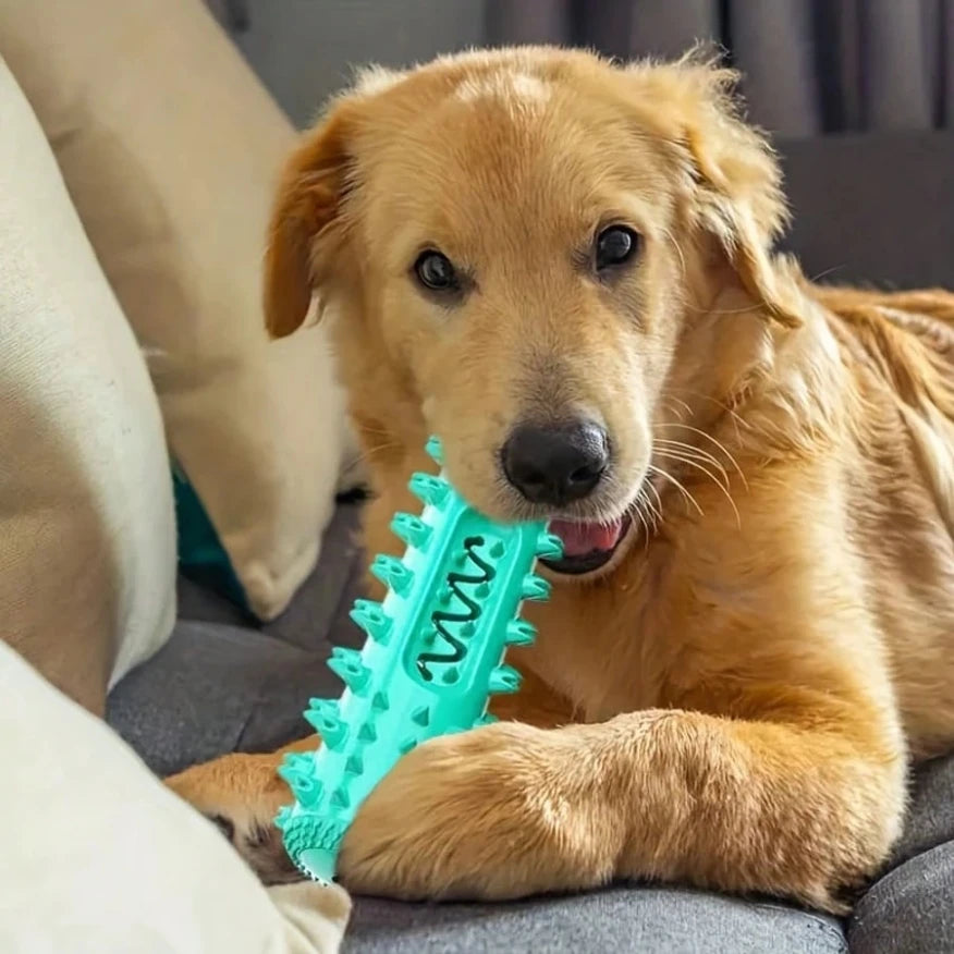 dog tooth chewing toy for dogs, helps clean teeth and reduce tartar while providing durable chewing entertainment