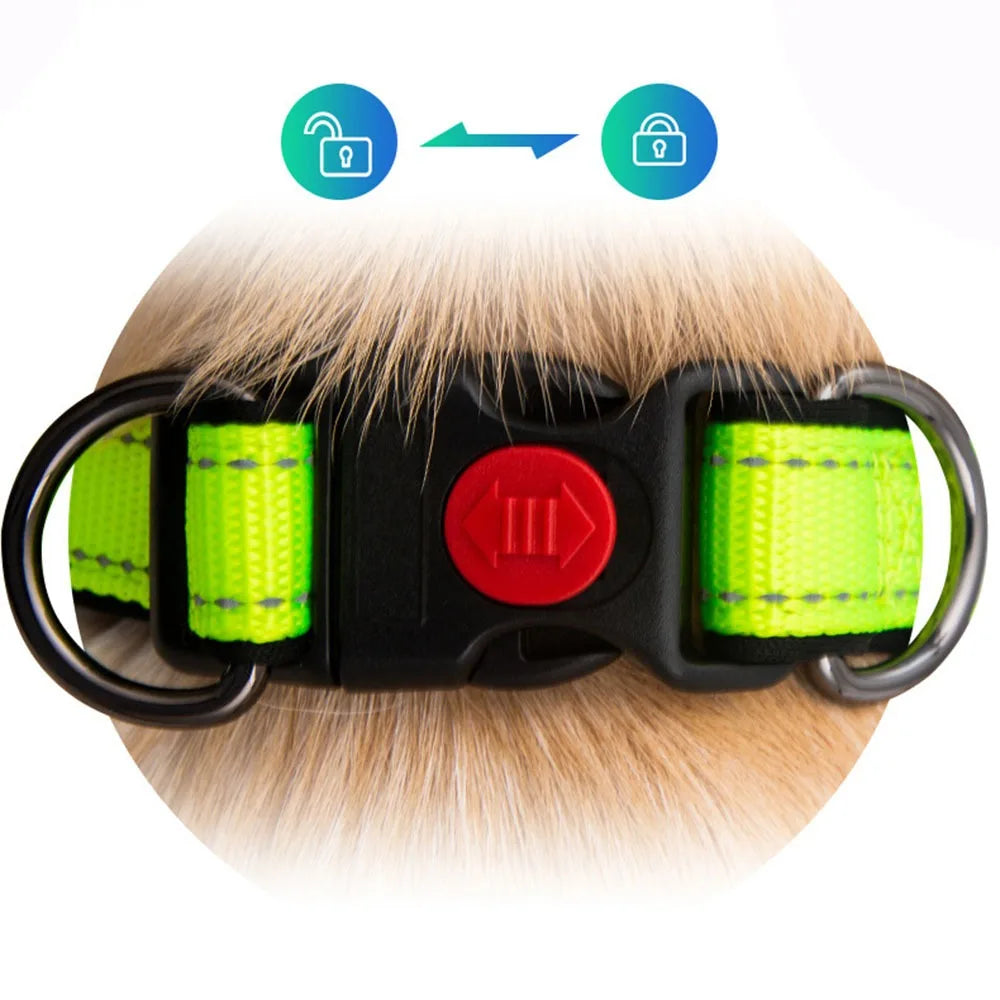 S4e0b3c1d871a44b0a1c61d0f9a9ef2b3n - bestdoggylife.shop