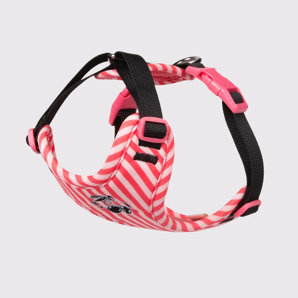 Elegant Puppy Harness Leash Set with Cute Plush Doll, Stylish Adjustable Vest Harness for Small Dogs, Fashion Walking Accessorie