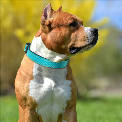 S4e28ebce87c9490991b0f8bdc441ebf4e_91afd963-ff60-4097-86e8-c467b2f585c9 - bestdoggylife.shop