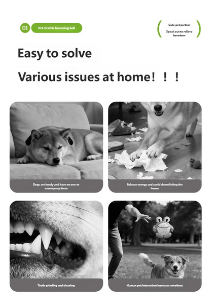S4e30d12c15e84a7782acc548d3432d3cv - bestdoggylife.shop